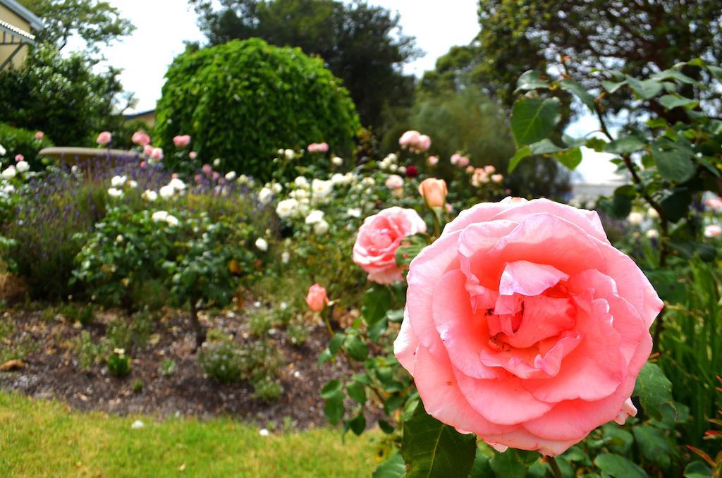Dunmoylen House Bed & Breakfast Albany Oda fotoğraf